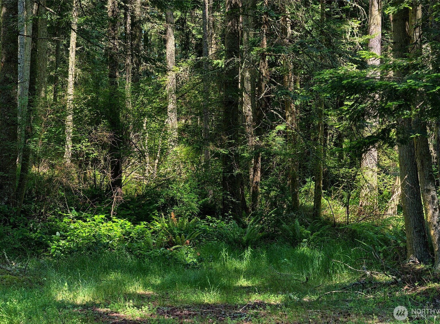 3596 Green Cliffs Rd Anacortes, WA 98221 - Thumbnail 5