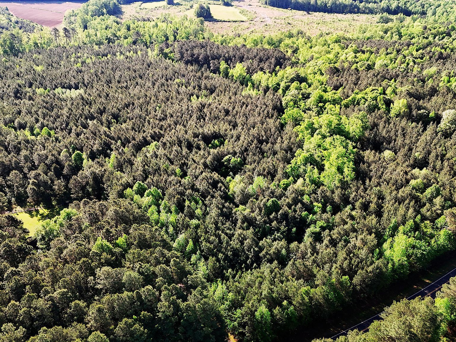 642 Breedlove Rd Louisburg, NC 27549 - Thumbnail 5