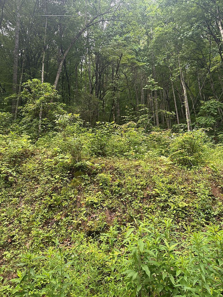 0 Corbin Hills Dr Franklin, NC 28734 - Thumbnail 5