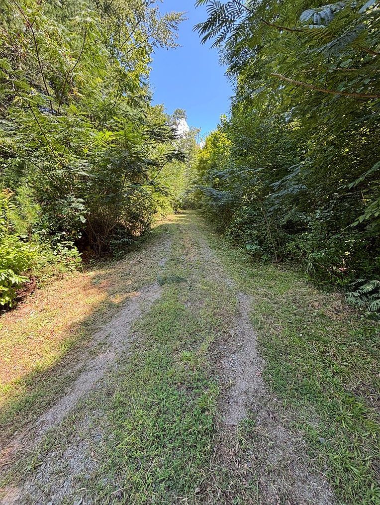 0 Ela Rd Bryson City, NC 28713 - Thumbnail 5