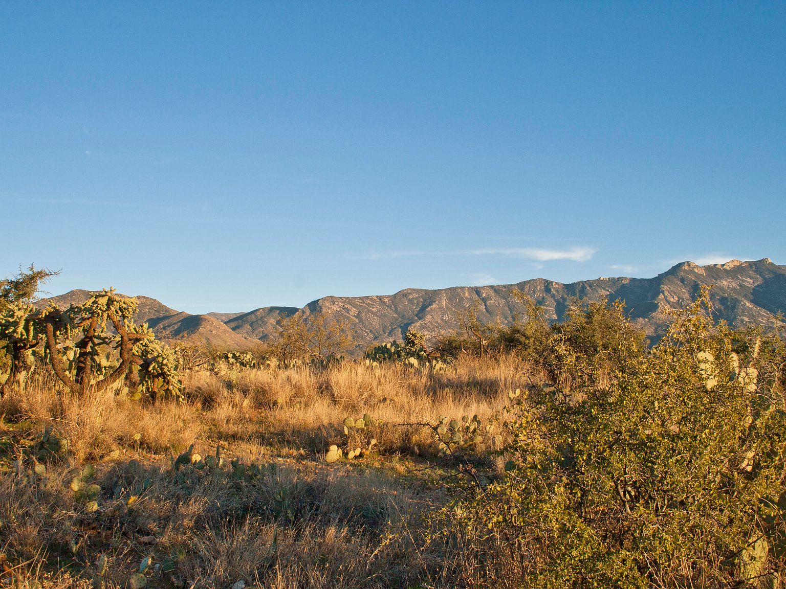 0 E Calle Rosa Linda #3 Tucson, AZ 85739 - Thumbnail 5