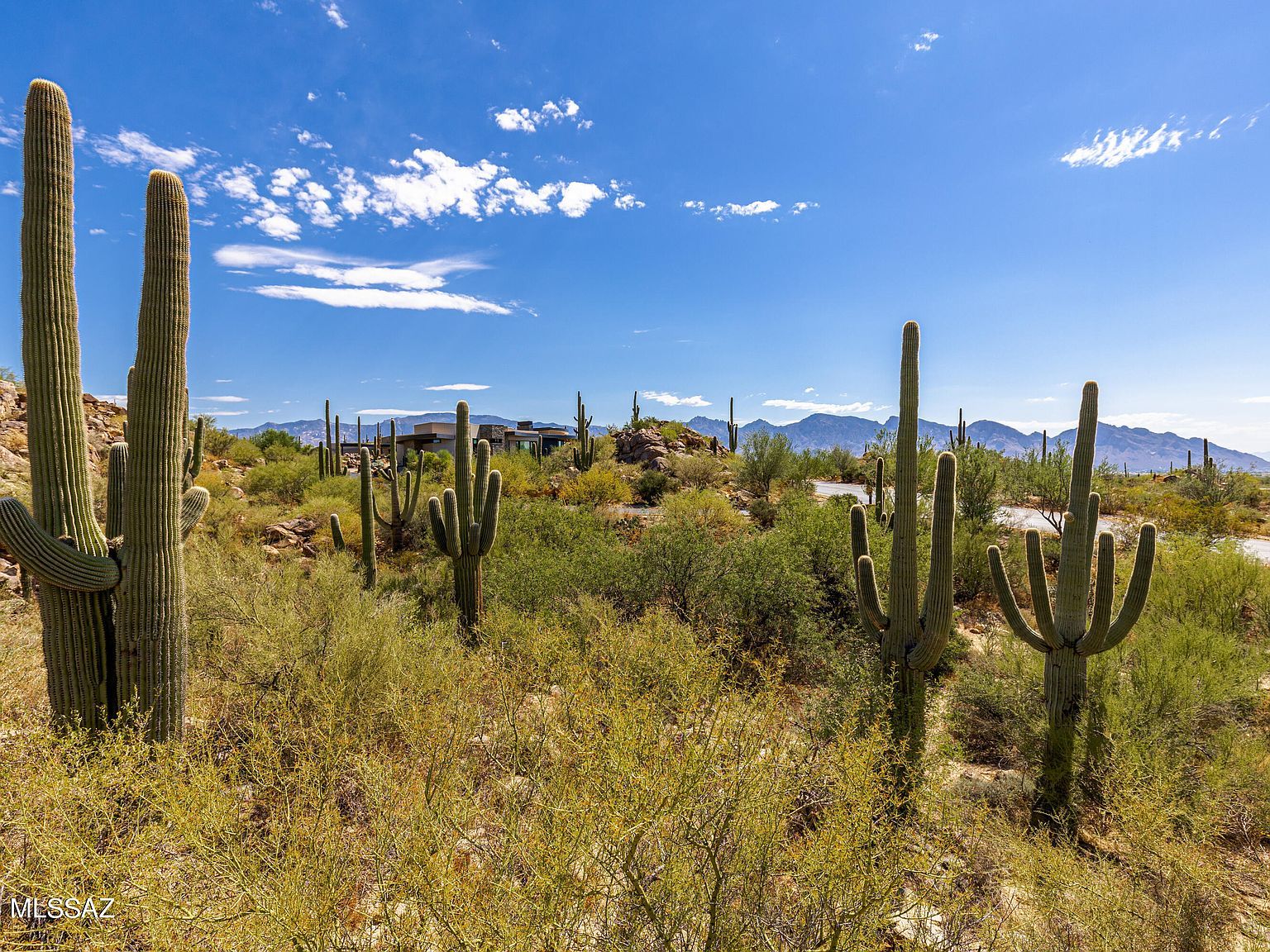 1173 W Tortolita Mountain Cir #182 Tucson, AZ 85755 - Thumbnail 5