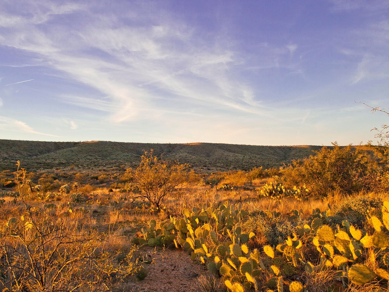 0 E Calle Rosa Linda Tucson, AZ 85739 - Thumbnail 5