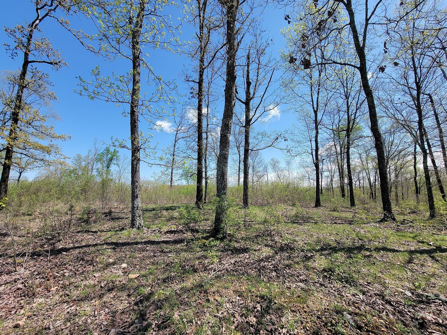 1025 Vista Ridge Dr Stewart, TN 37175 - Thumbnail 5