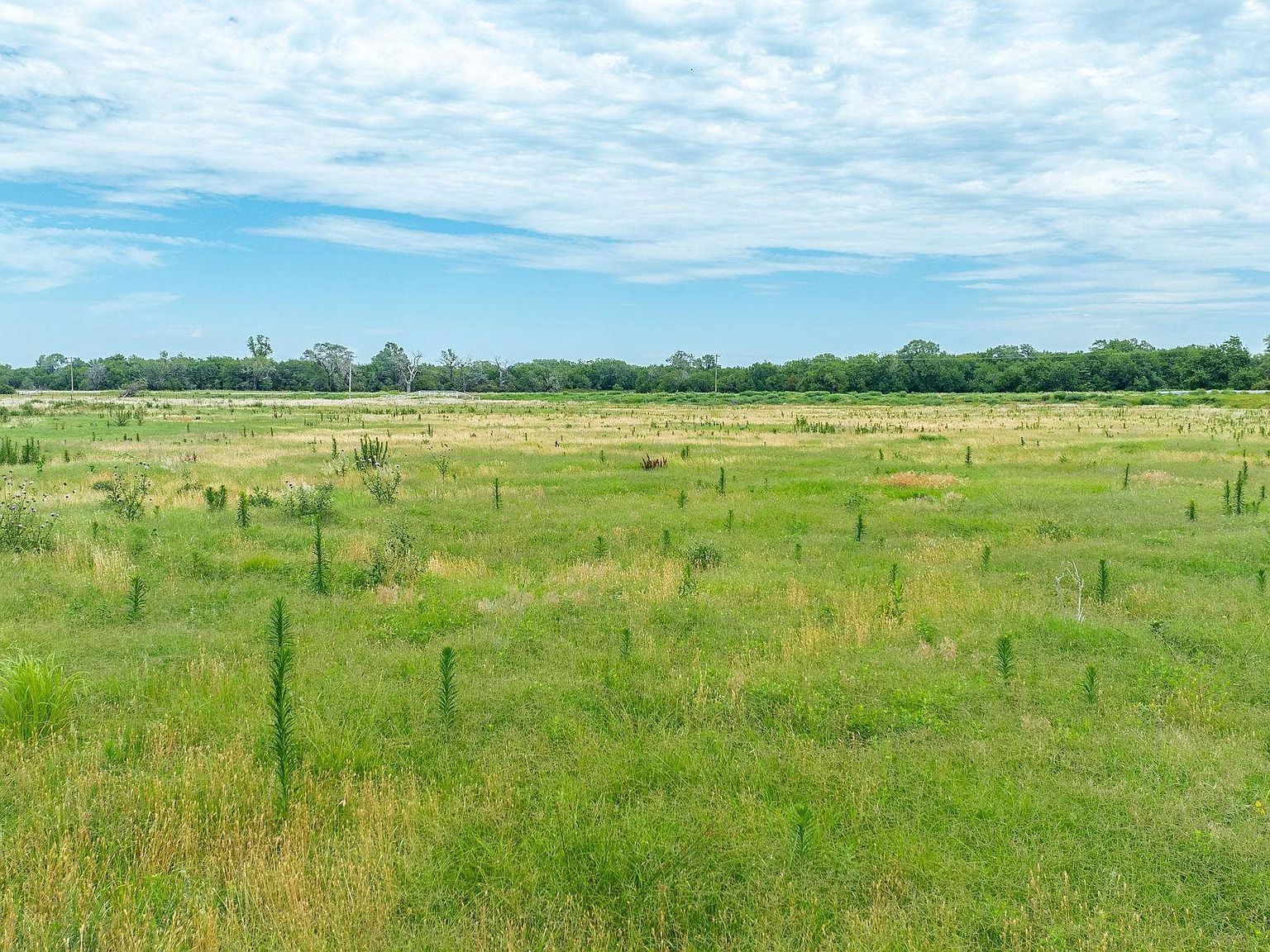 65.88 / Acres N #279 Mount Hope, KS 67108 - Thumbnail 5