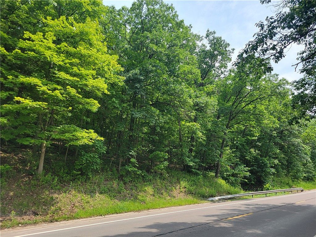 0 State Route 54 Hwy #52 Hammondsport, NY 14840 - Thumbnail 5