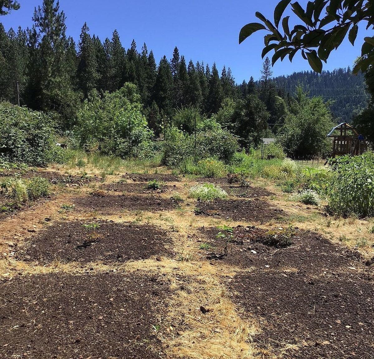 200 Humphrey Addition Rd Glendale, OR 97442 - Thumbnail 5