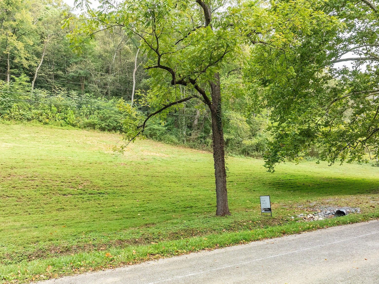 0 Roy Dodson Rd #22 Columbia, TN 38401 - Thumbnail 5