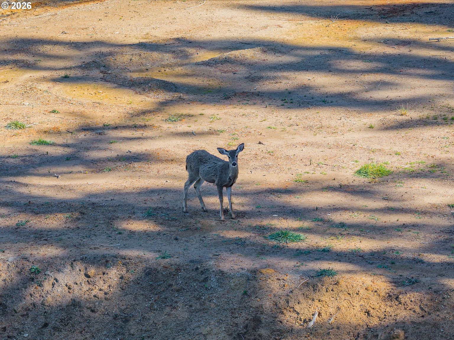 63539 Andrews Rd Coos Bay, OR 97420 - Thumbnail 5