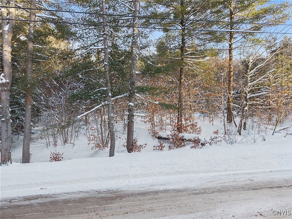 Center St Lot 35 Cleveland, NY 13042 - Thumbnail 5