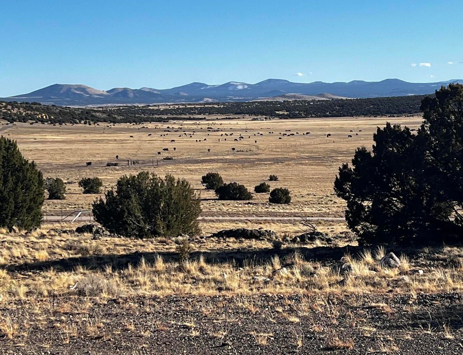 38-8626 Adamana Rd Petrified Forest Natl Pk, AZ 86028 - Thumbnail 5