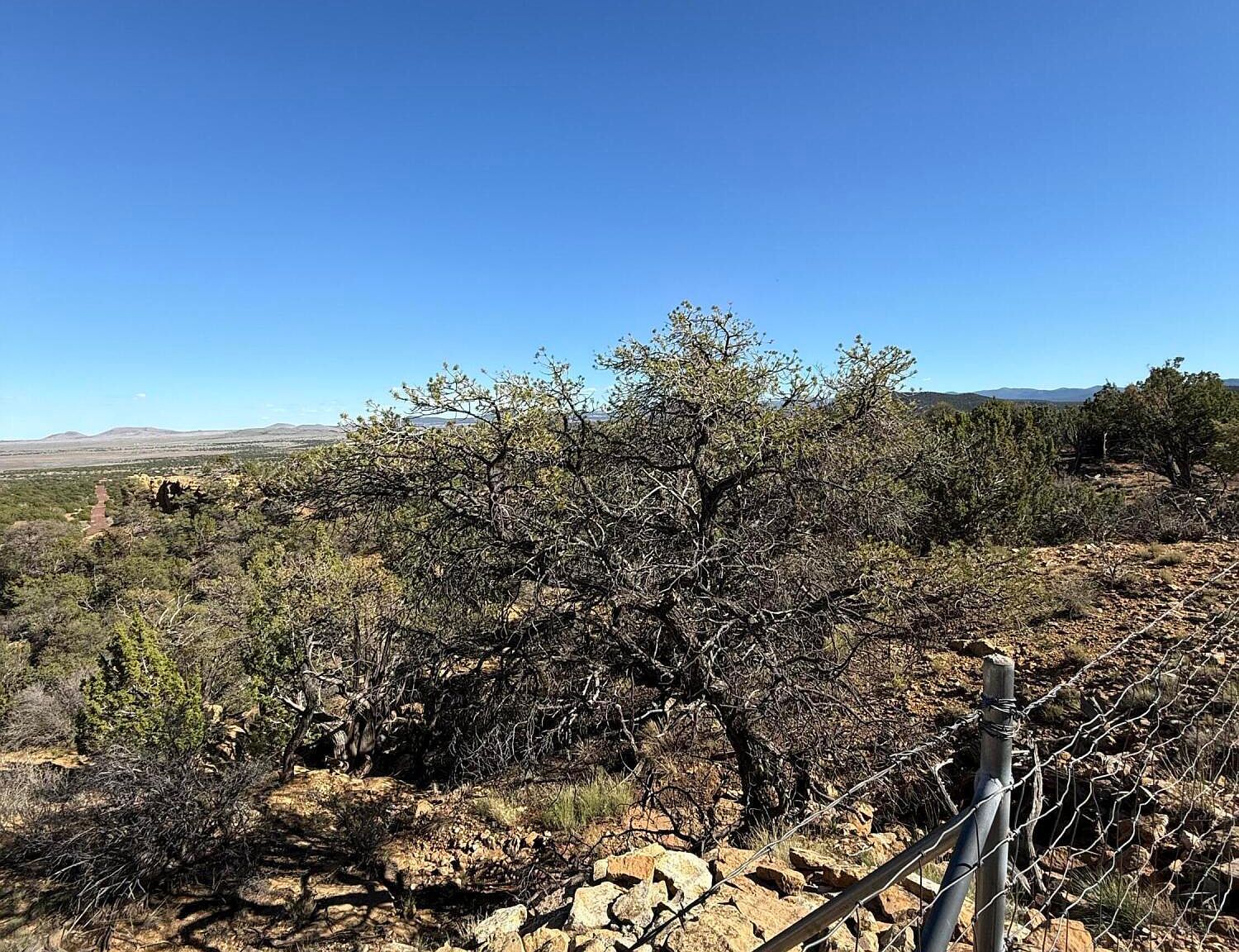 4 County Rd Concho, AZ 85924 - Thumbnail 5