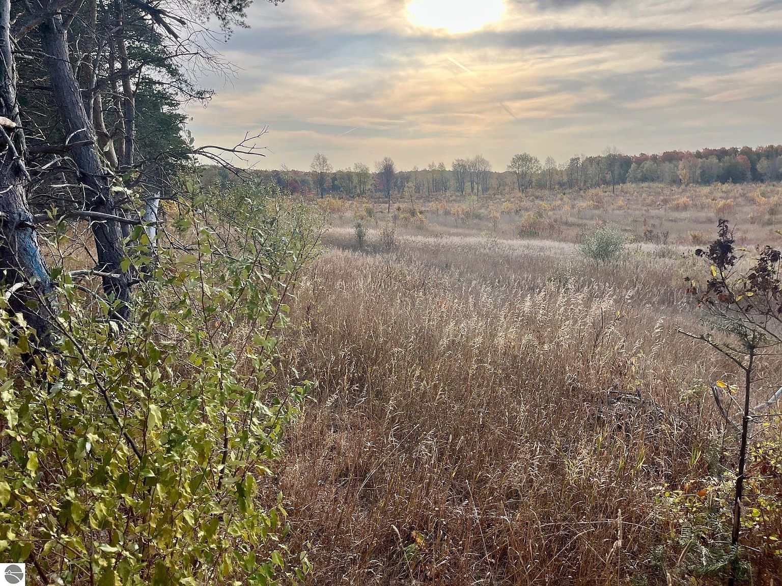 PARCEL A1 E Kasson Rd Maple City, MI 49664 - Thumbnail 5