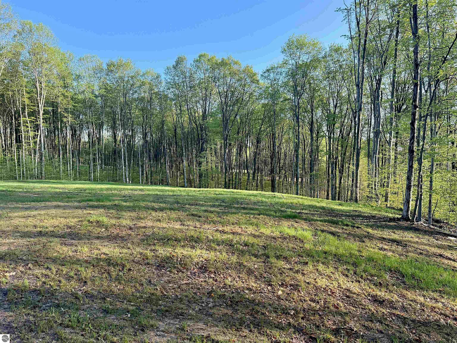 1 S Bright Rd Maple City, MI 49664 - Thumbnail 5