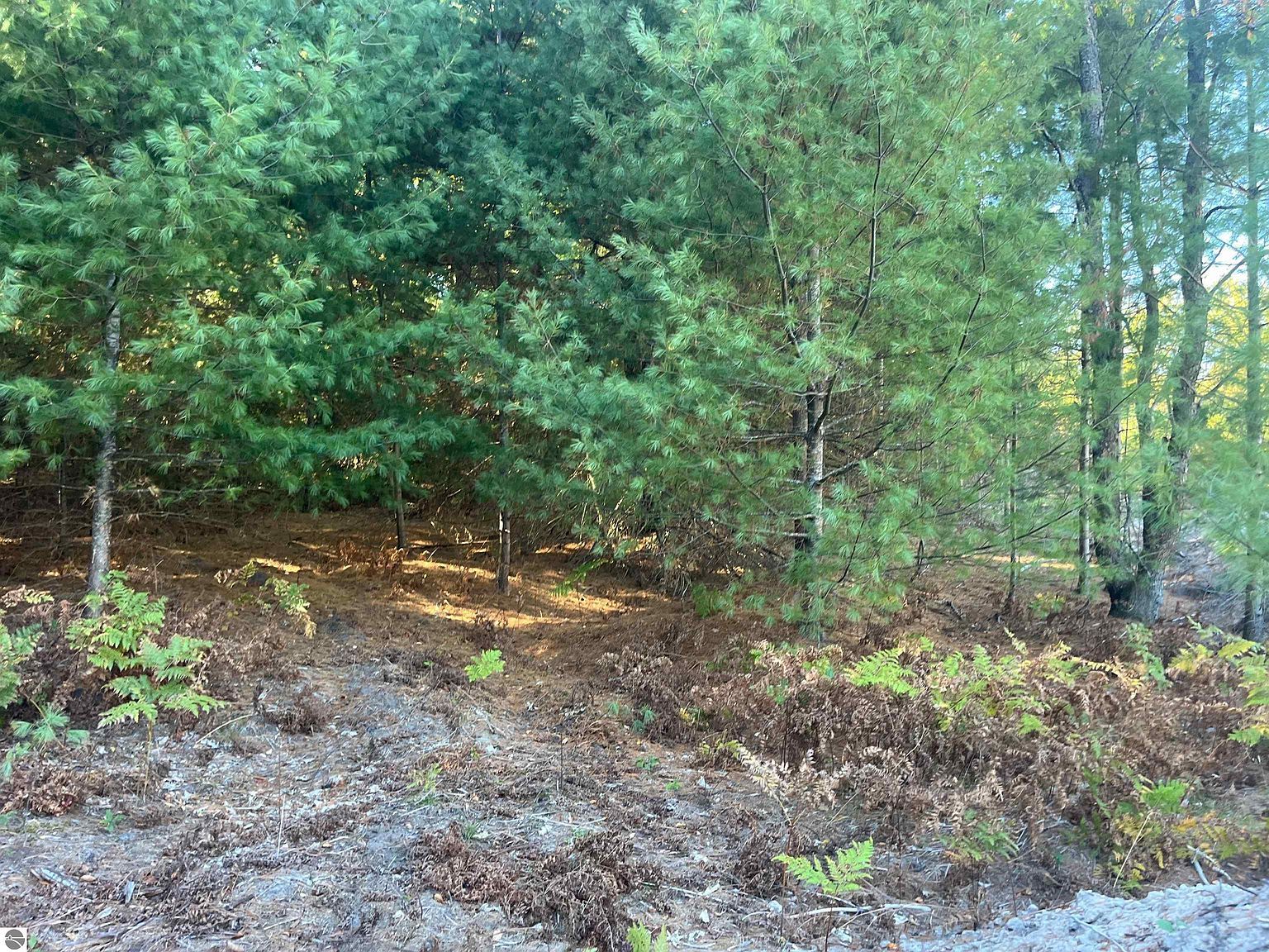 4655 Leaning Birch Dr #4 Traverse City, MI 49685 - Thumbnail 5