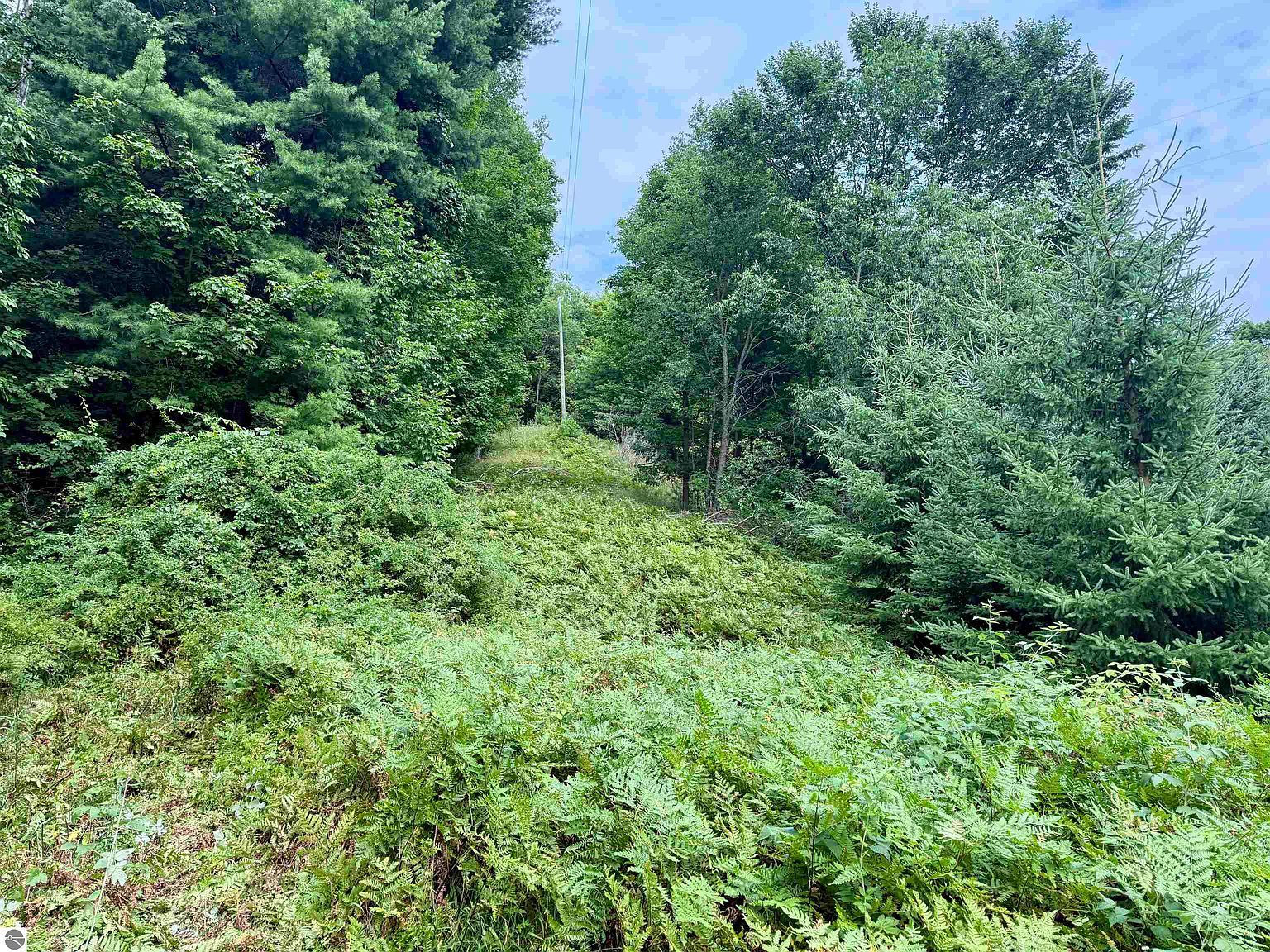 0 W Empire Hwy Empire, MI 49630 - Thumbnail 5