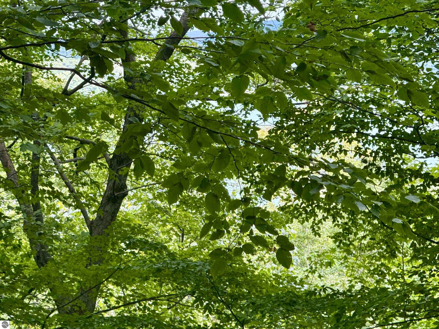 0 W Harbor Hwy Maple City, MI 49664 - Thumbnail 5