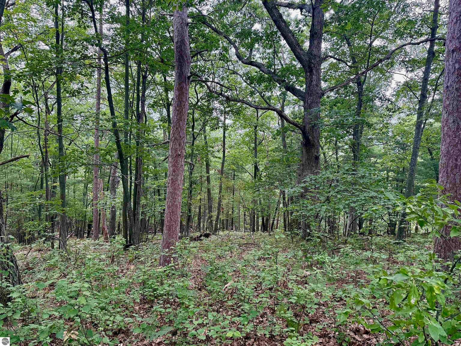 35 Brook Hill Cottages #35 Glen Arbor, MI 49636 - Thumbnail 5