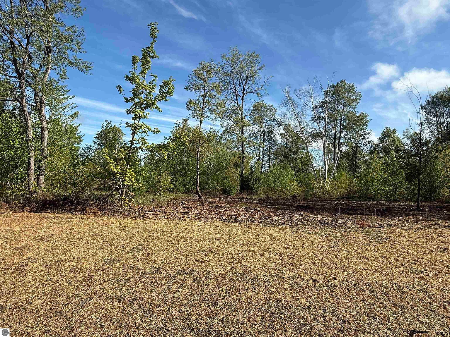 1087 E Solaris Way #B3 Maple City, MI 49664 - Thumbnail 5