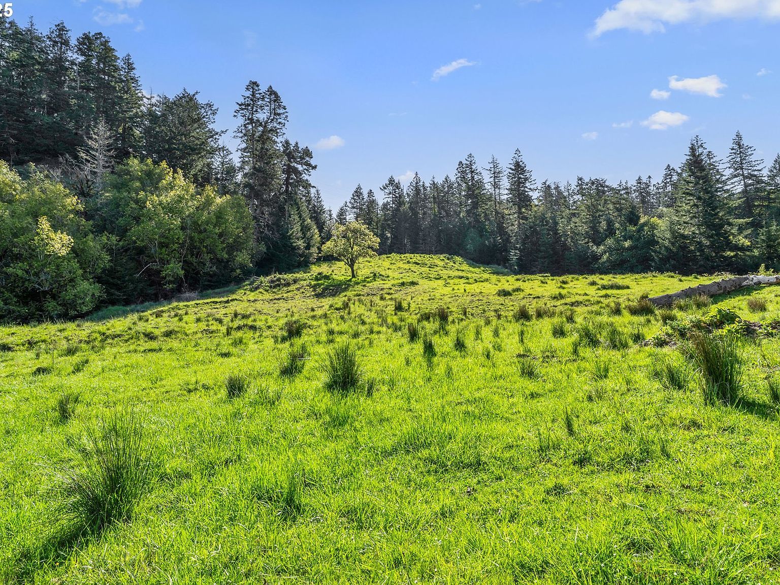 38097 Pacific Highlands Dr Port Orford, OR 97465 - Thumbnail 5