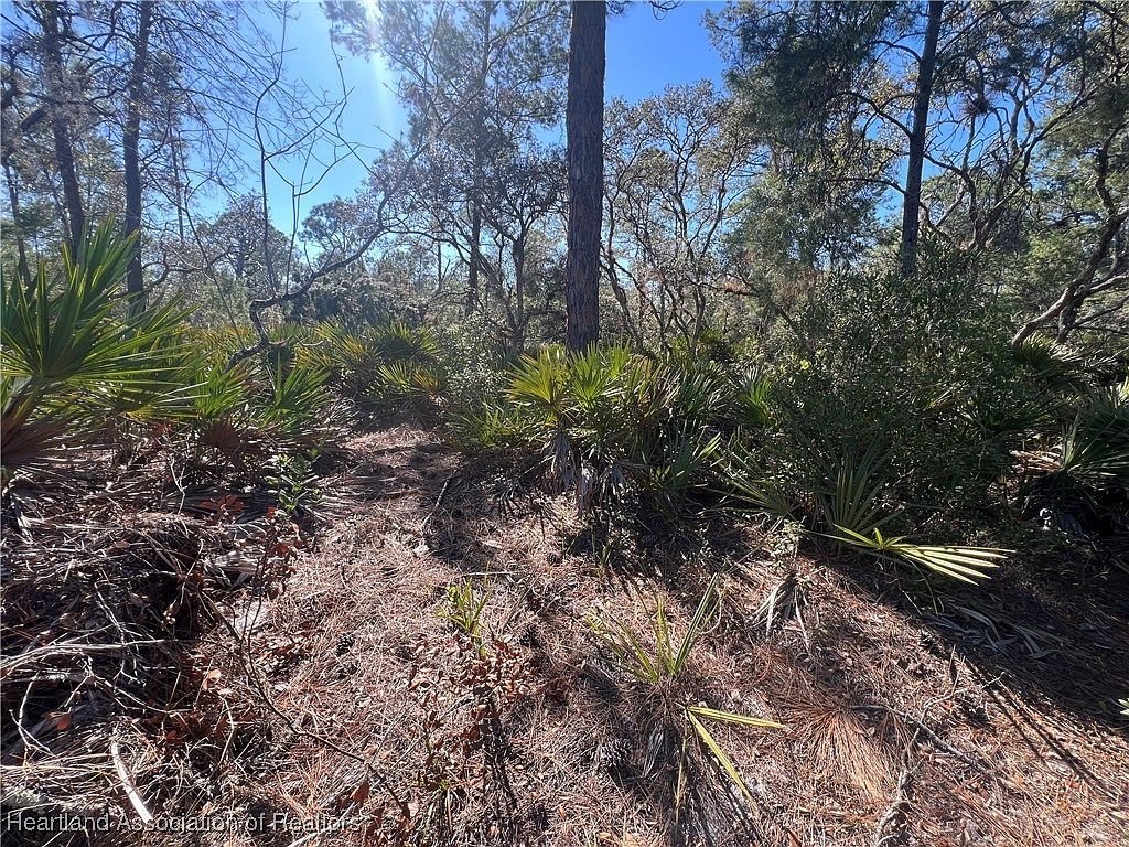 646 Jonathan St Lake Placid, FL 33852 - Thumbnail 5