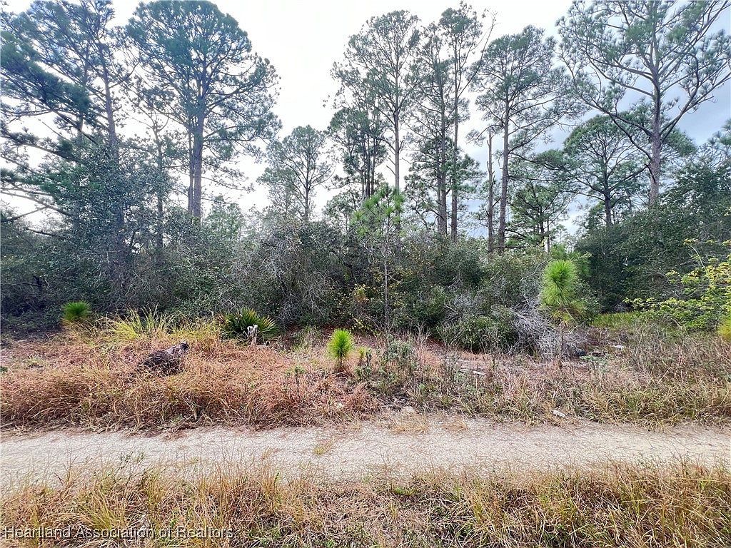 354 Summer Hill Dr Lake Placid, FL 33852 - Thumbnail 5