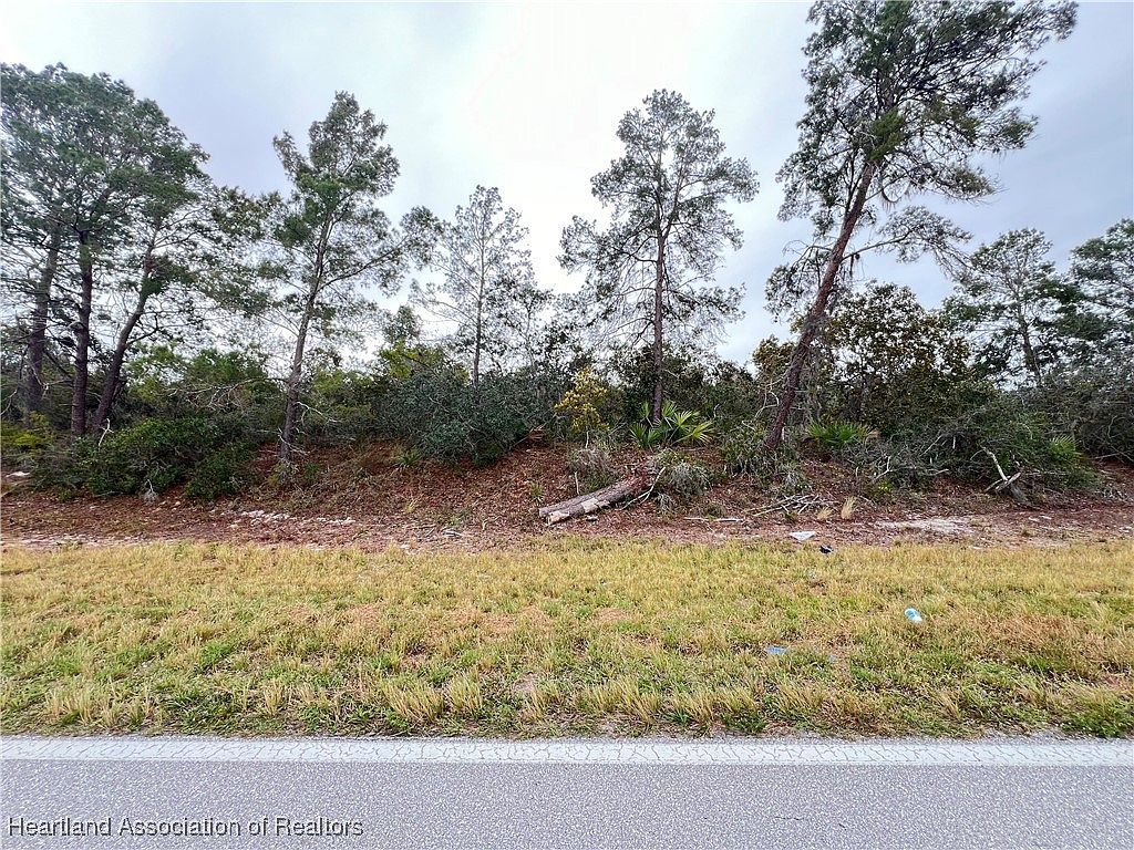 971 County Road 29 Lake Placid, FL 33852 - Thumbnail 5