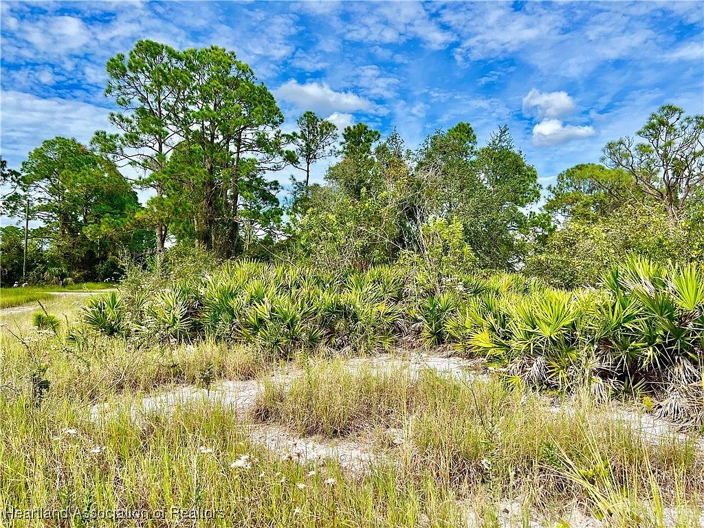 212 Broach St NW Lake Placid, FL 33852 - Thumbnail 5