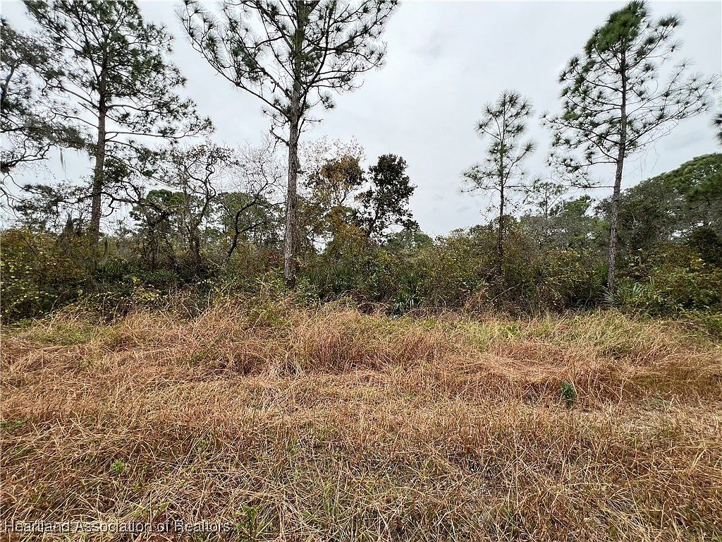 345 Moon River Ave Lake Placid, FL 33852 - Thumbnail 5