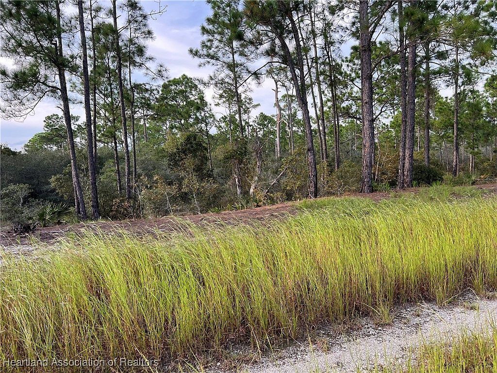 382 Showboat Ave Lake Placid, FL 33852 - Thumbnail 5