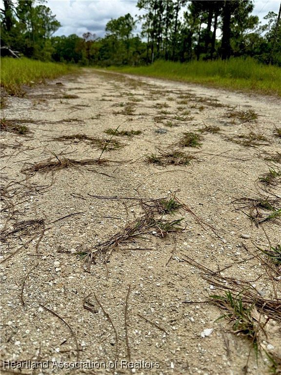 825 Neale St Lake Placid, FL 33852 - Thumbnail 5