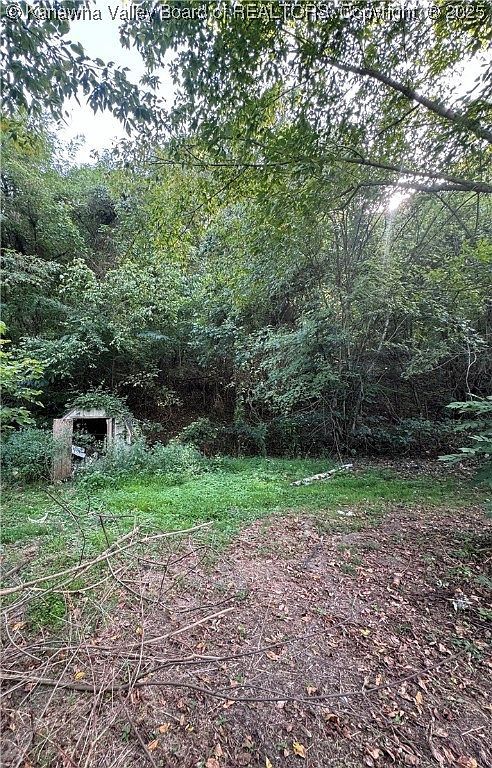 53 Cemetery Ln Mount Carbon, WV 25139 - Thumbnail 5