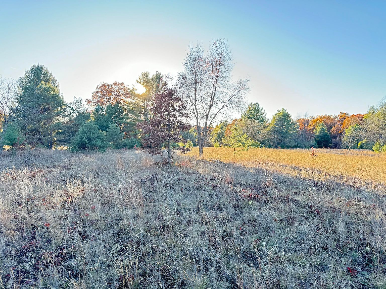 1001AC Barberry Ave Newaygo, MI 49337 - Thumbnail 5