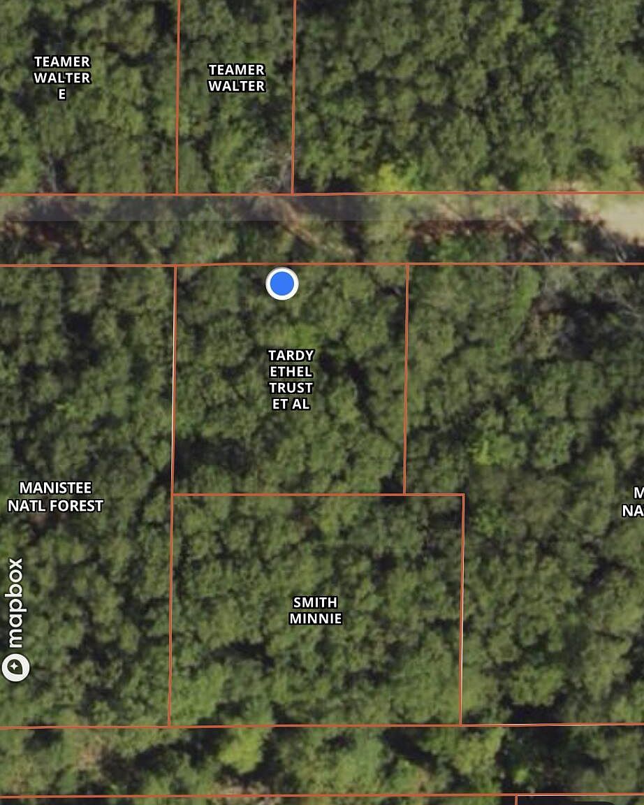 0 W Franklin St Bitely, MI 49309 - Thumbnail 5