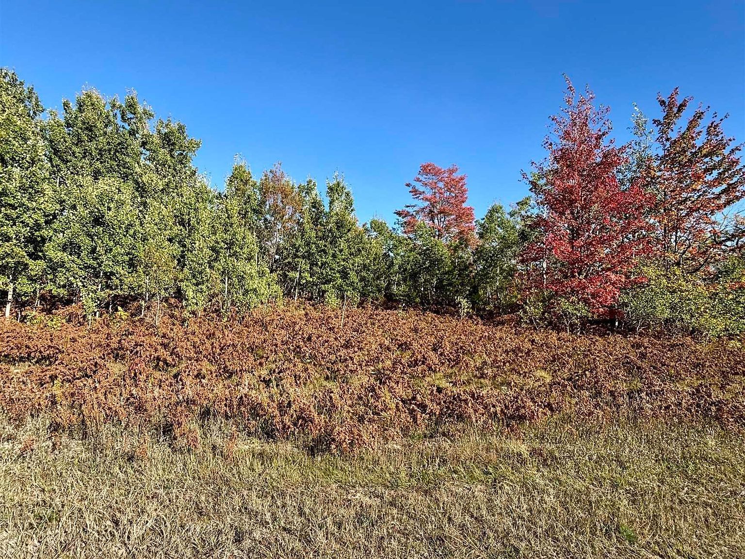 1200 Thornton Dr Mancelona, MI 49659 - Thumbnail 5