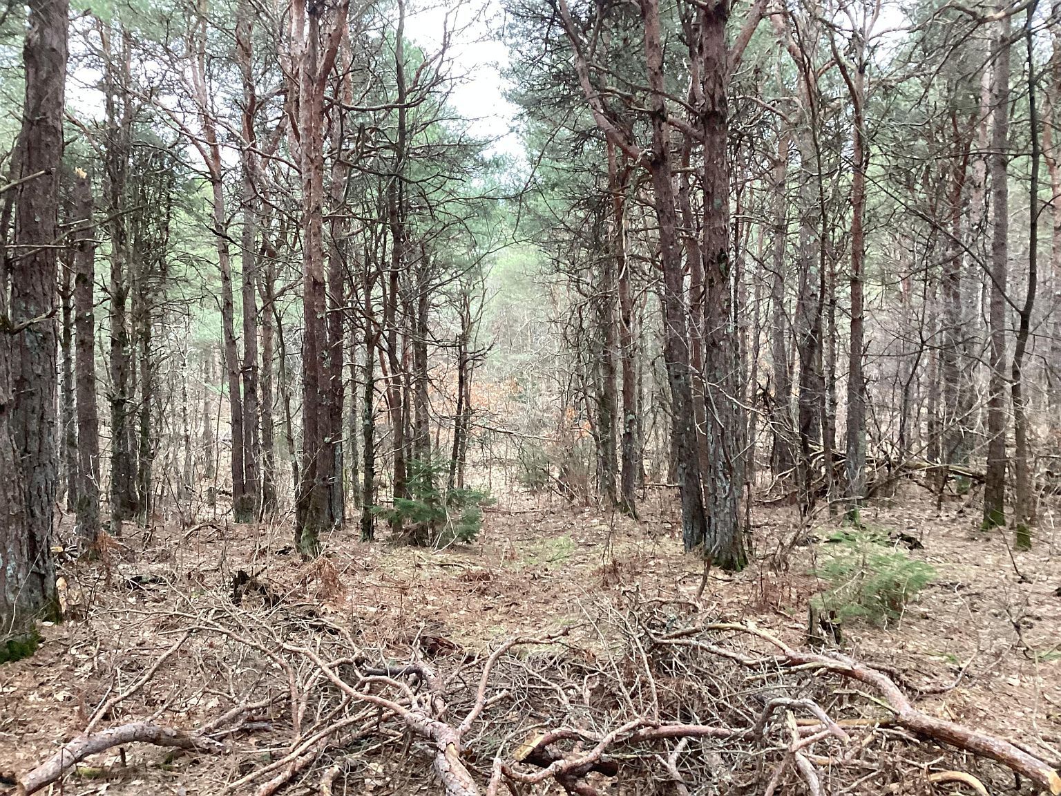 2510 W Winston Rd Rothbury, MI 49452 - Thumbnail 5