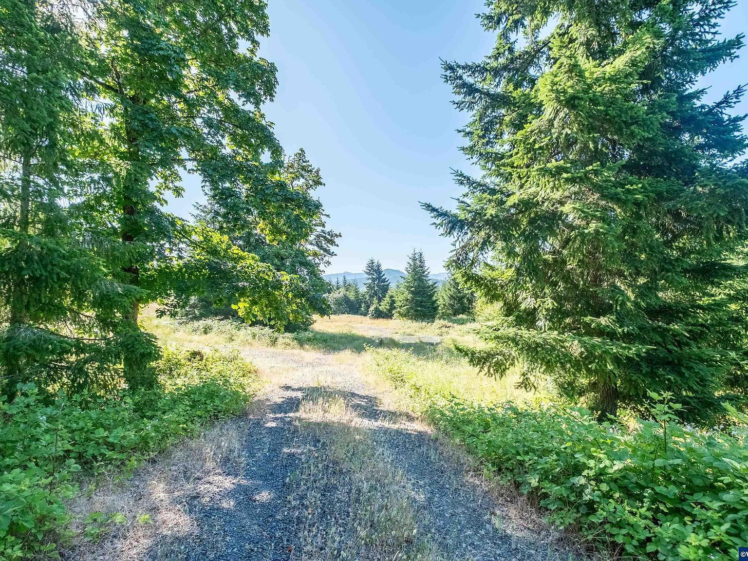 Tax Jones Dr LOT 1700 Foster, OR 97345 - Thumbnail 5