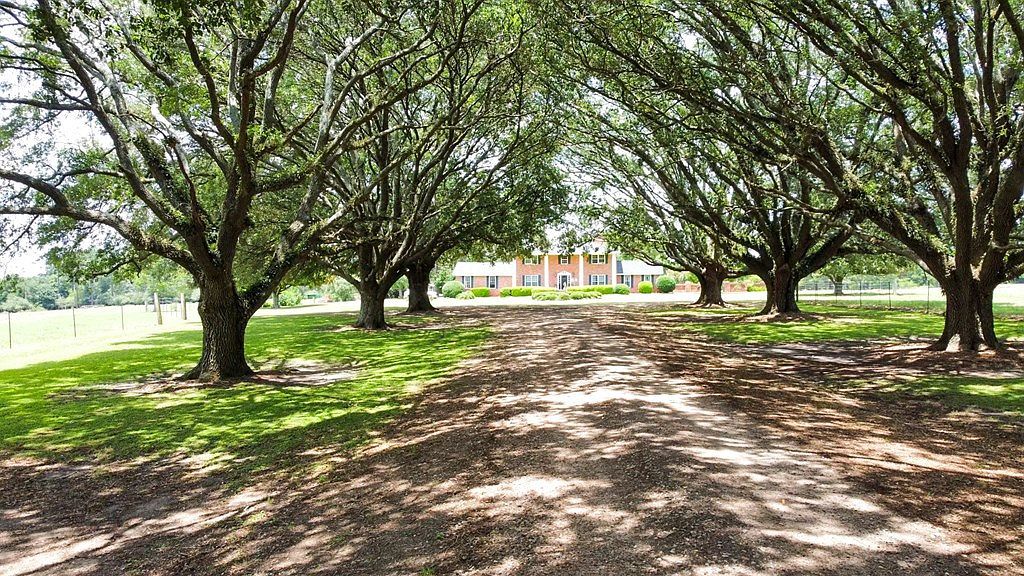 2780 Highway 37 E Camilla, GA 31730 - Thumbnail 5