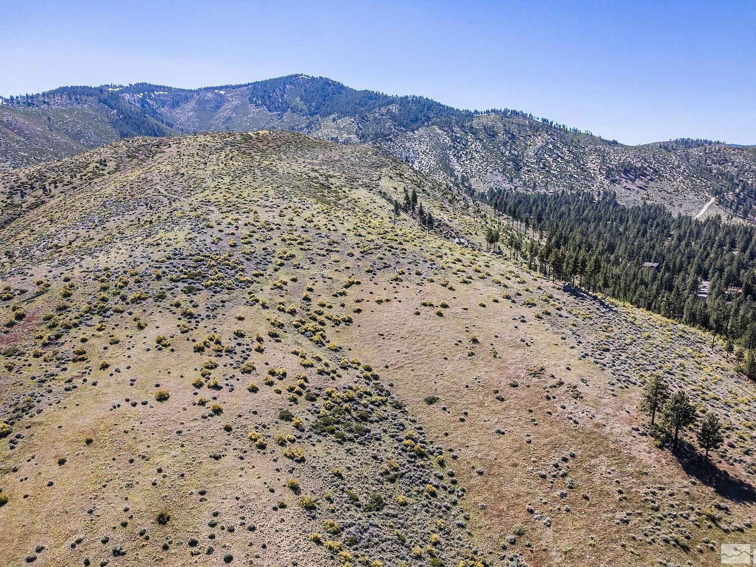 4056 Via Grant Dr Carson City, NV 89703 - Thumbnail 5