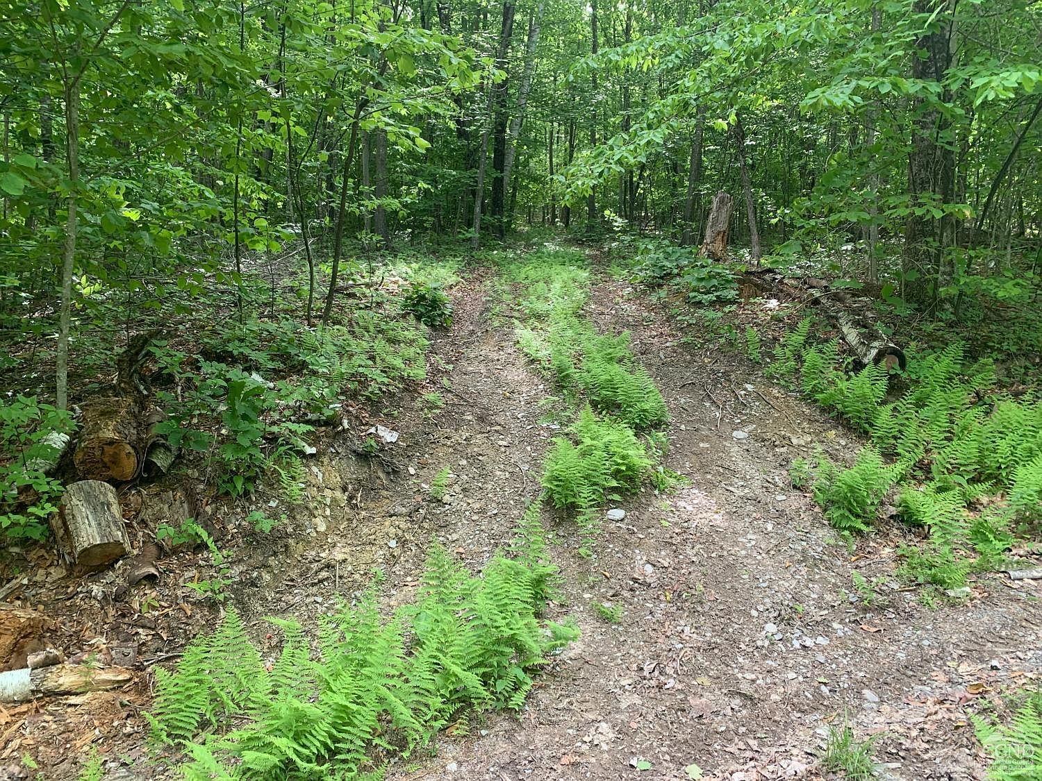 189 Covenant Cir East Nassau, NY 12062 - Thumbnail 5