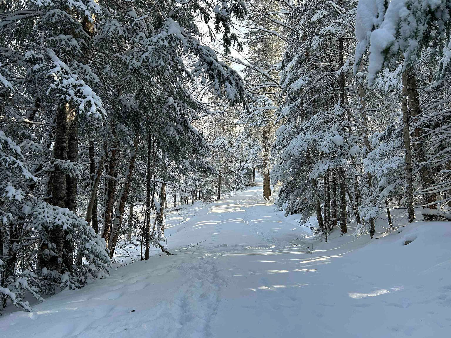 242 Noyes Rd Stewartstown, NH 03576 - Thumbnail 5