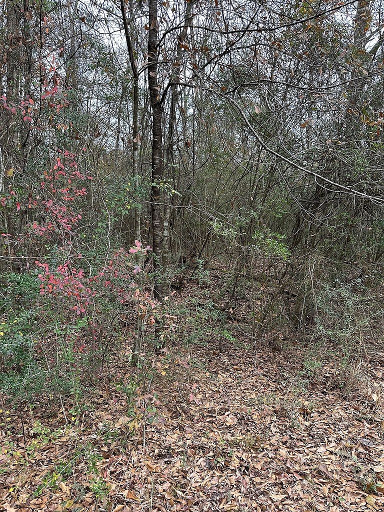 0 Barbara Ln Lumberton, MS 39455 - Thumbnail 5