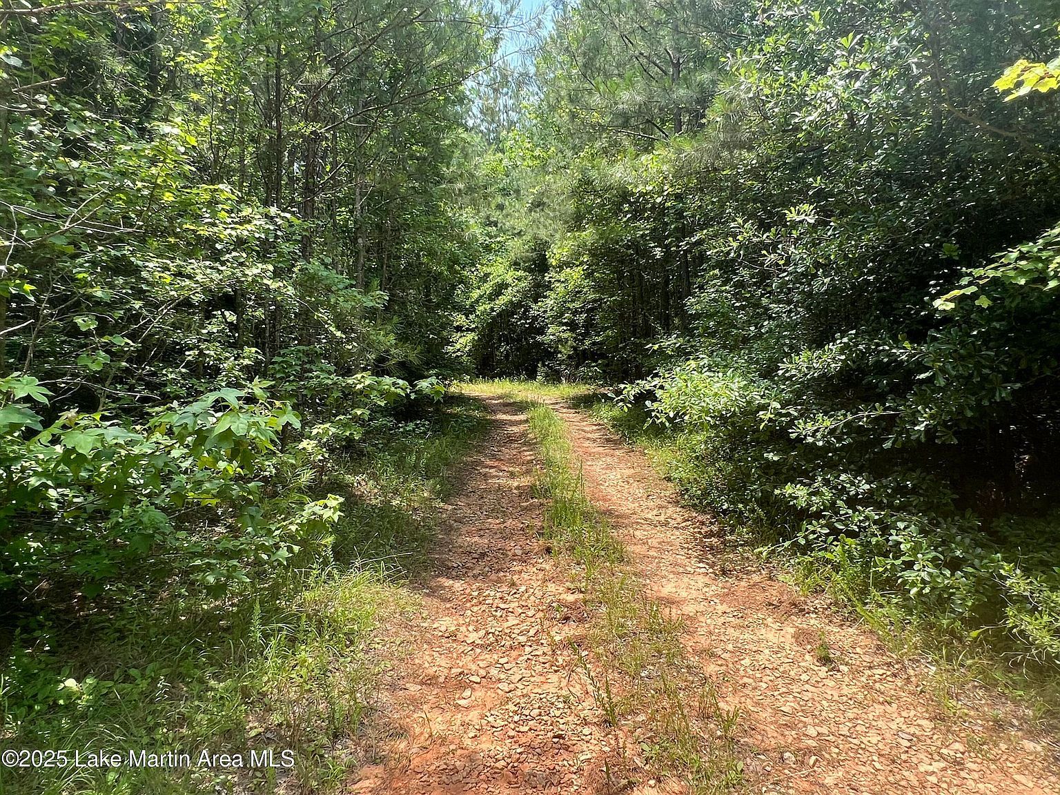 PARCEL 2 Highway 63 N Goodwater, AL 35072 - Thumbnail 5