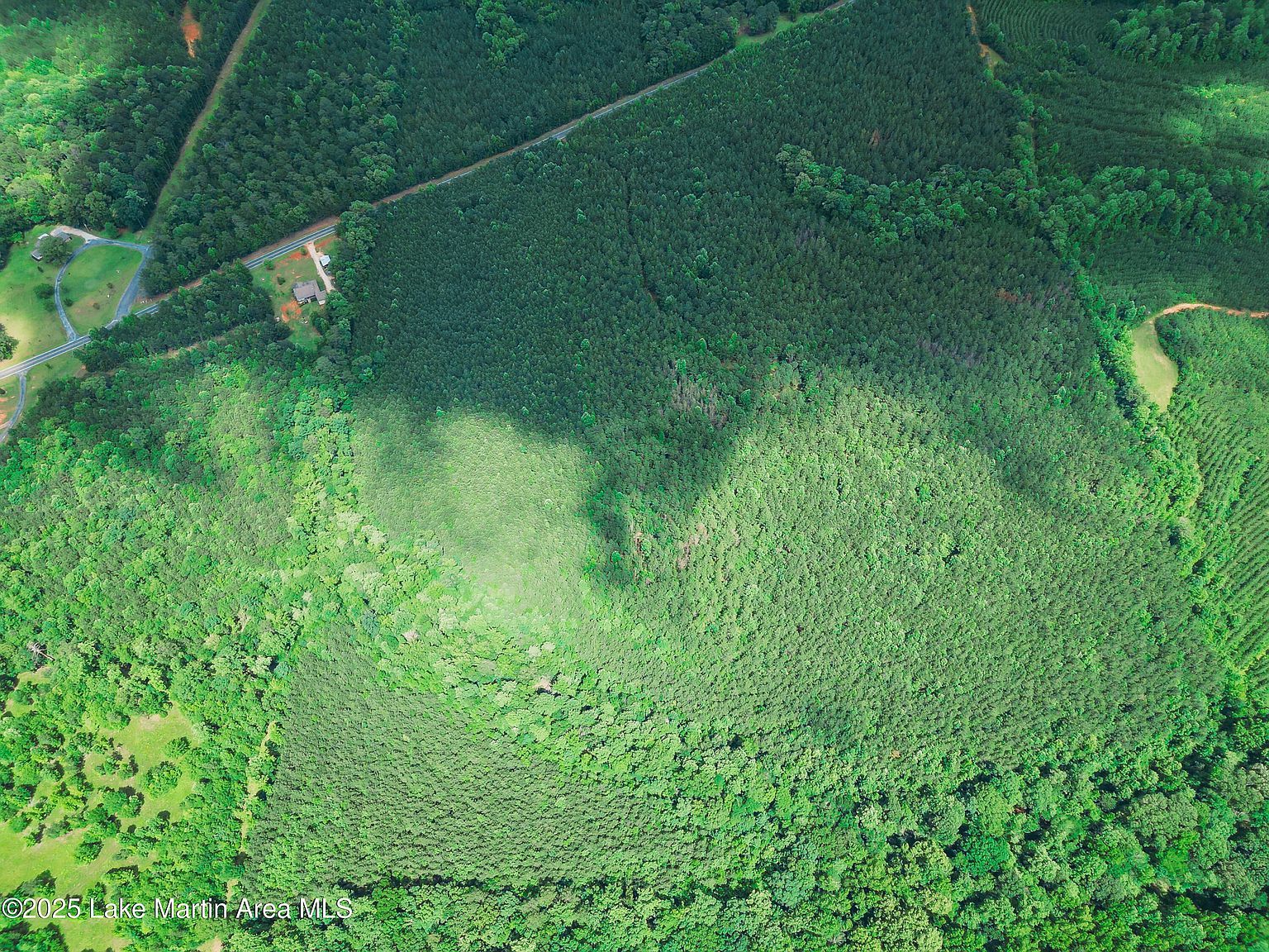 PARCEL 1 Highway 63 N Goodwater, AL 35072 - Thumbnail 5