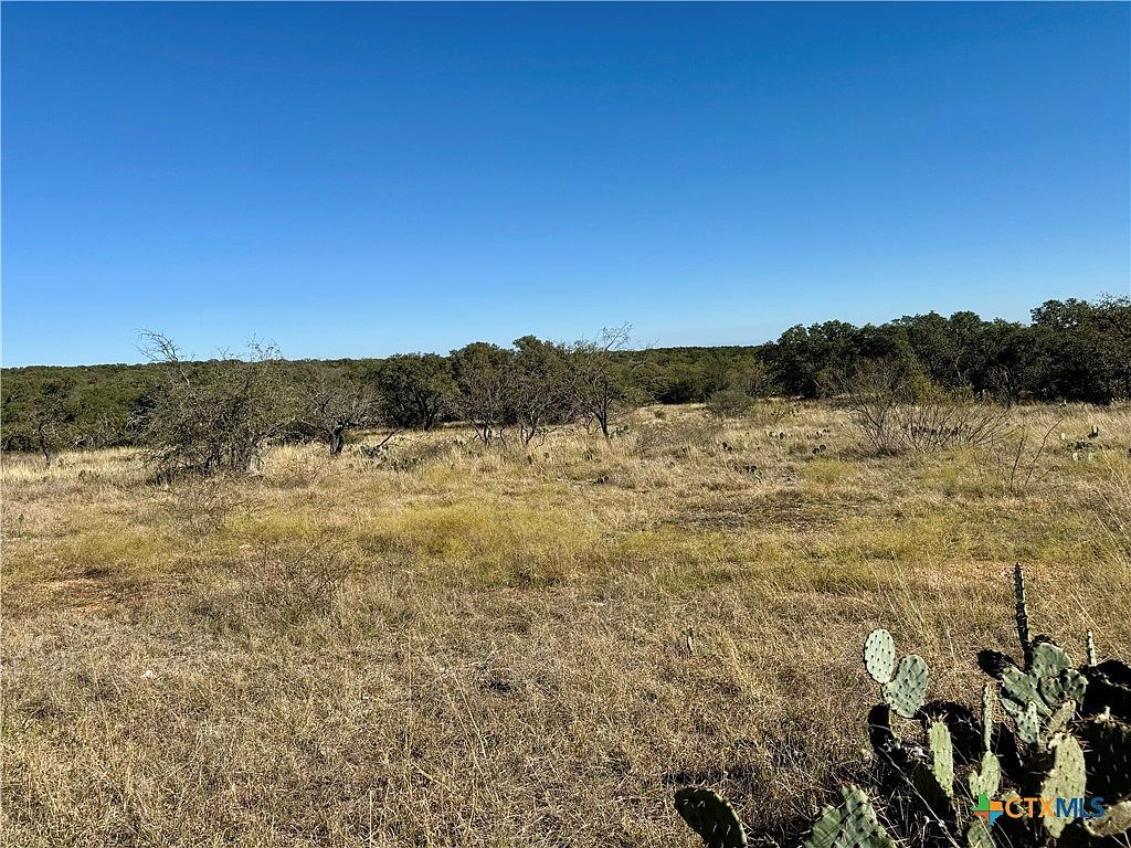 LOT 37 Buck Run San Saba, TX 76877 - Thumbnail 5