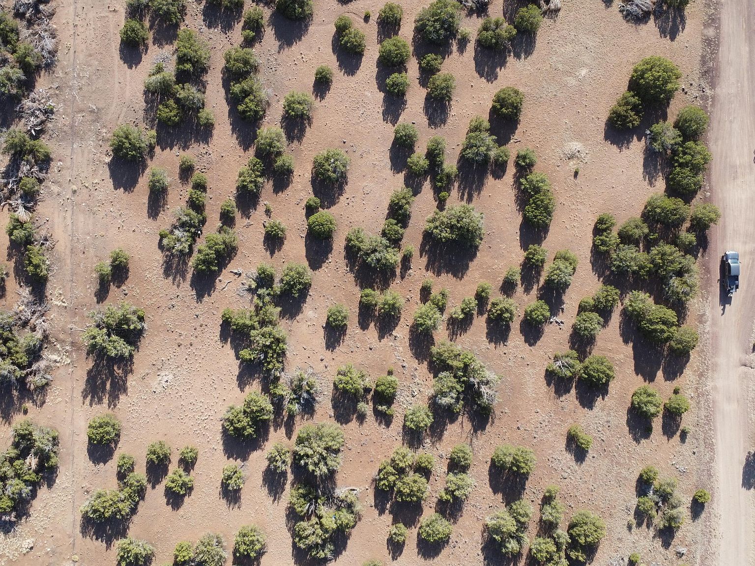 W Lot 14 Bonito Dr #14 Show Low, AZ 85901 - Thumbnail 5