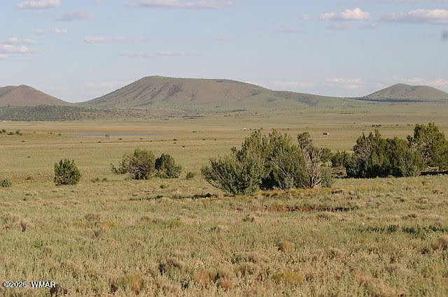 55 Lakeland Concho, AZ 85924 - Thumbnail 5