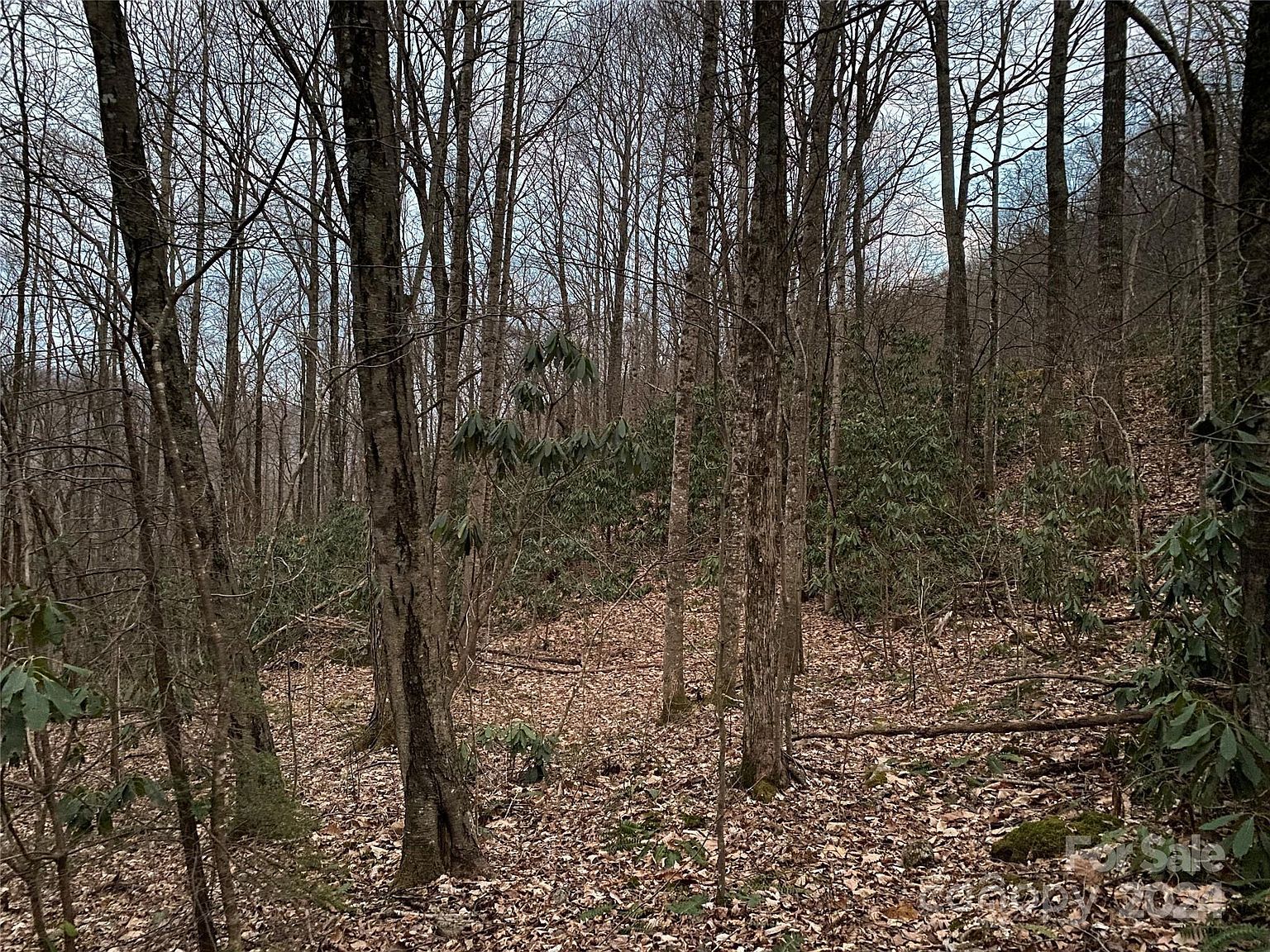 29 Wood Haven Ln #209 Black Mountain, NC 28711 - Thumbnail 5