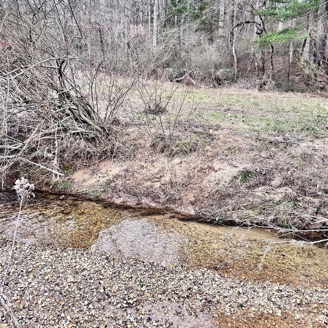 38 Flourish Farm Ln Asheville, NC 28806 - Thumbnail 5