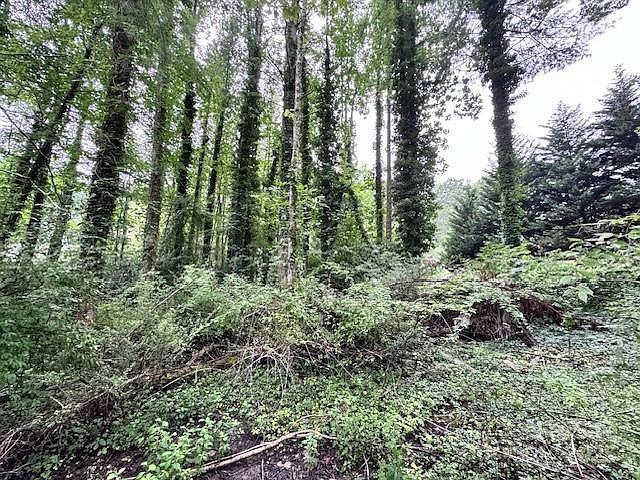 0 Glengary Dr #79 Flat Rock, NC 28731 - Thumbnail 5